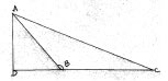acute angled triangle 